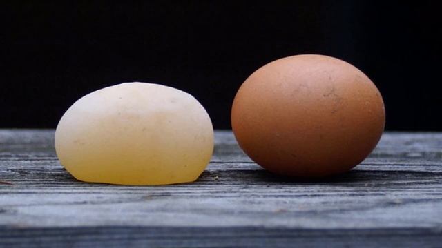 Как давать рыбий жир цыплятам бройлерам