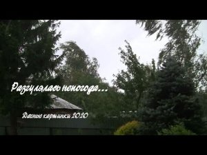 Разгулялась непогода.    Дачные картинки 2020.