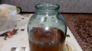 Чайный гриб с нуля + результат