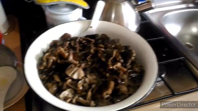 Опята, два рецепта,как я готовлю опята, онлайн с кухни, строго не судить! смотреть онлайн