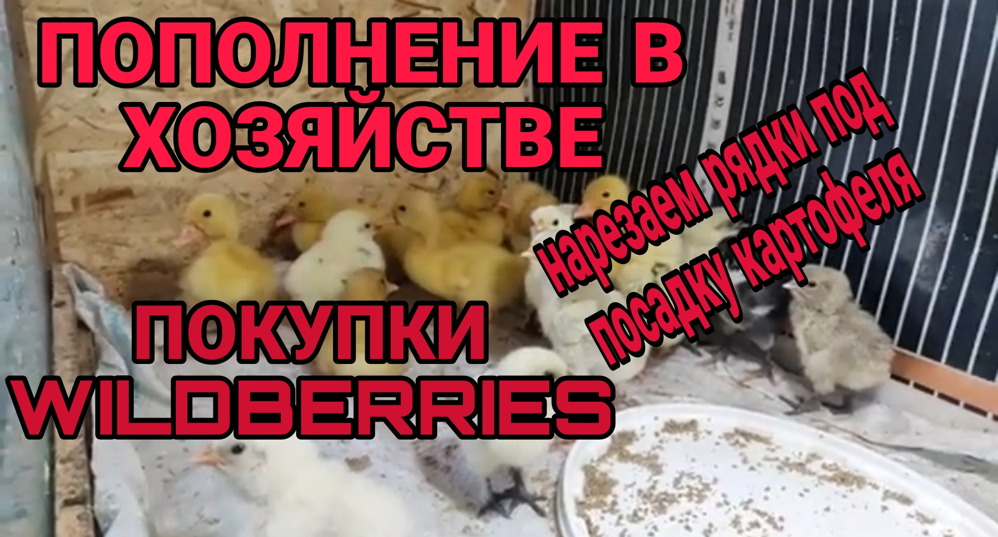 Готовим дома ветчину, подкопченую