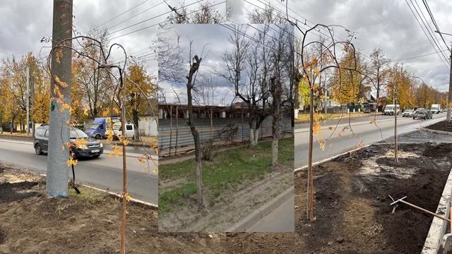 Как в Брянске делают урбанизм
