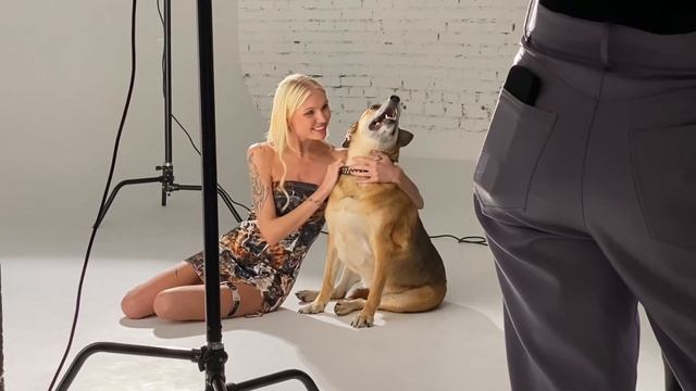 Щенок из приюта стала звездой модельного бизнеса или первая фотосессия Пуси. BORZO style❤️ смотреть онлайн