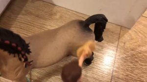 Сериал друг навсегда/серия 1/шляйх