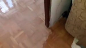 Нанесение лака LOBA