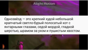 топ 5 моих не любимых персонажей из котов воителей/звезданутая Безвёздная ночь