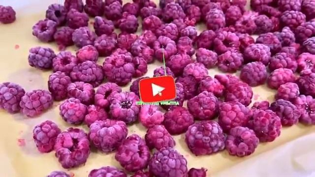 малины. замороженные малины. варенье из малины. на зиму малины и варенье