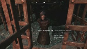 The Elder Scrolls V. SKYRIM. Прохождение часть 31 - "Жрец и Даэдра"