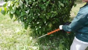 Мотоножницы STIHL HS - 82R.