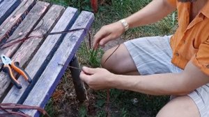 Плетение верёвочки из ивовой коры и других природных материалов. Мастер класс в живую. bark rope.