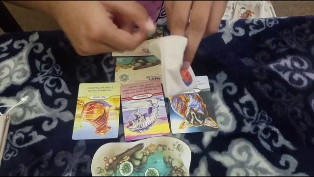 RishiAkshi - RA Kids - Evolution Board Game Video 2 смотреть онлайн