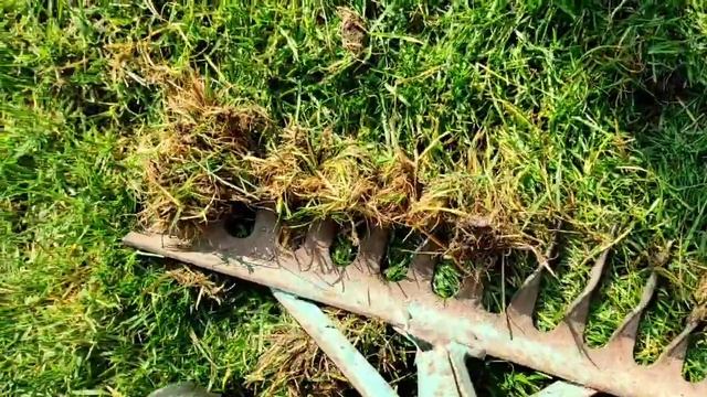 Работа над газоном смотреть онлайн