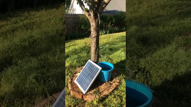 Home made water fountain on a budget