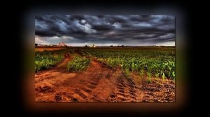 Шедевры Инструментальной Музыки.mp4