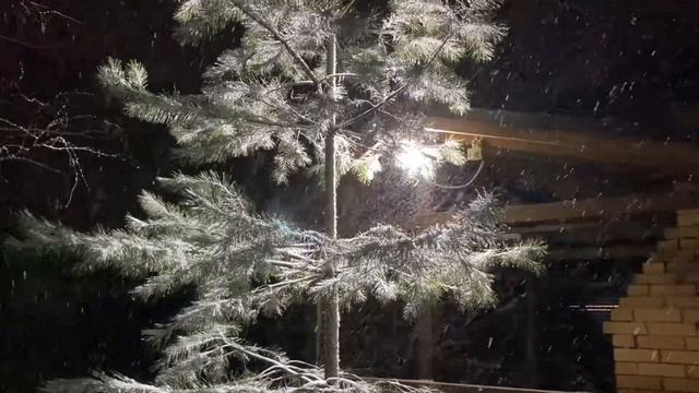 Ноябрь 2022// Спокойное видео// Начало зимы смотреть онлайн