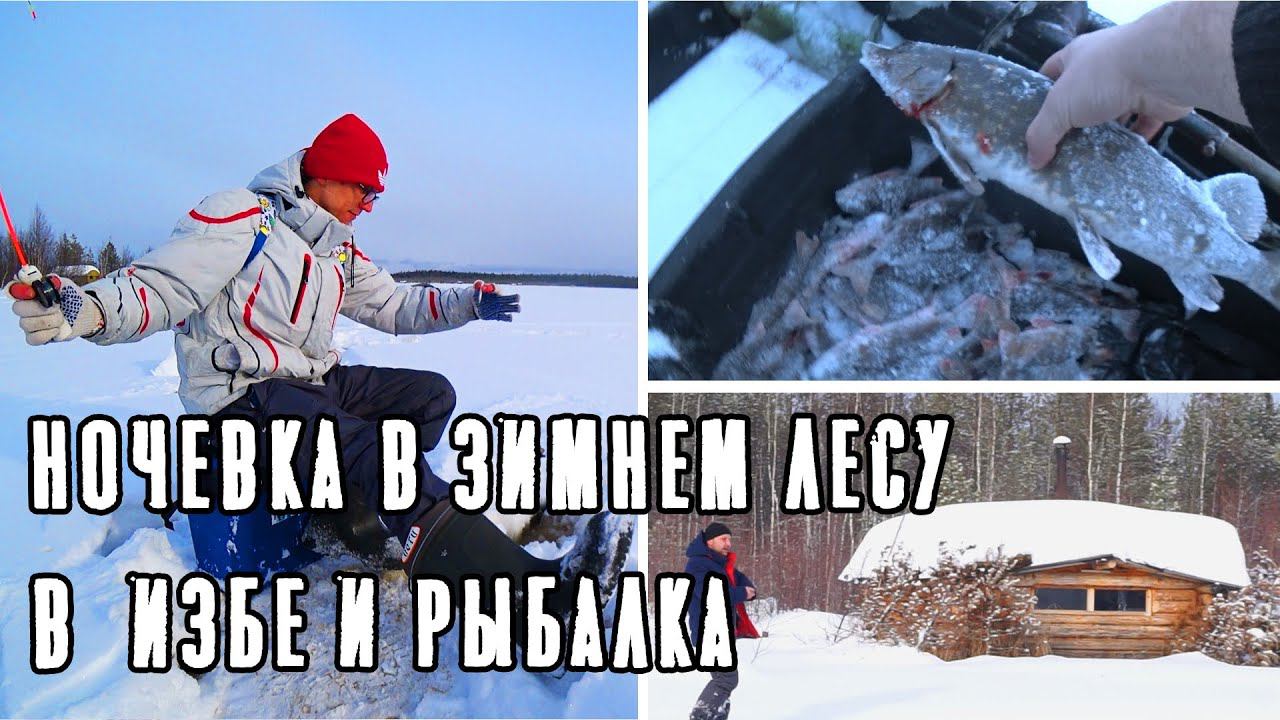 ОКУНЬ САМ ВЫПРЫГИВАЕТ ИЗ ЛУНОК / ЗИМНЯЯ РЫБАЛКА 2020 / НОЧЕВКА В ТАЕЖНОЙ ГОСТИНИЦЕ смотреть онлайн