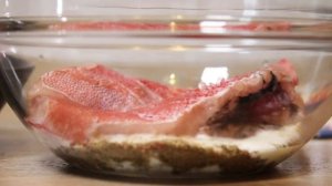 Морской окунь в рукаве