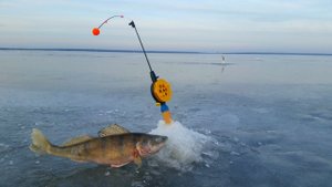 РЫБАЛКА 2022 ЗИМНЯЯ РЫБАЛКА НА ЩУКУ (ХАПУГА) жерлицы зимняя рыбалка 2022.