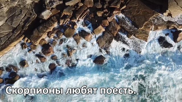 Что больше всего ранит СКОРПИОНА. смотреть онлайн