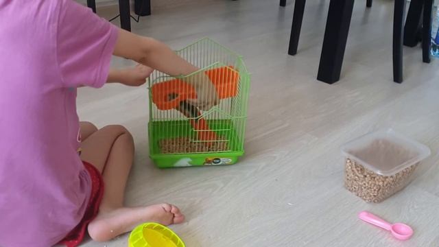 Чистим клетку хомяка смотреть онлайн