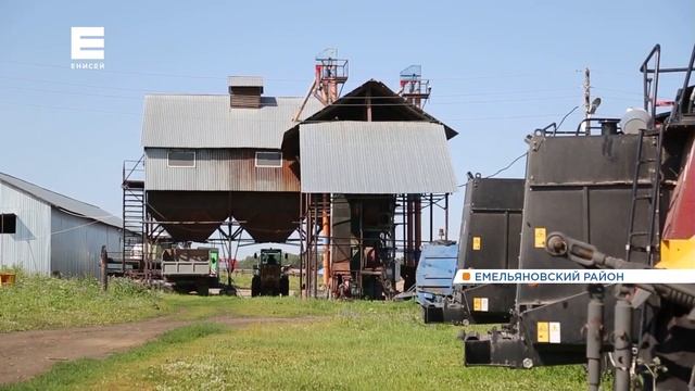 Способы снизить цены на овощи предложили в правительстве края смотреть онлайн