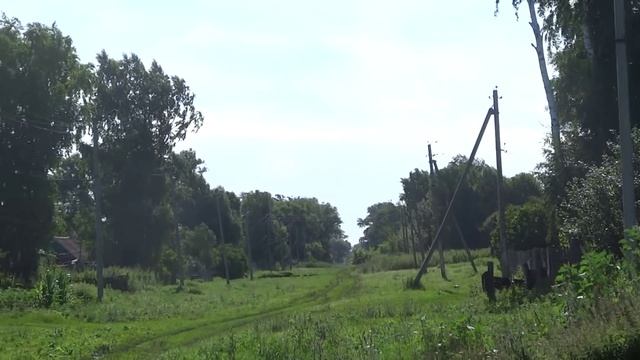 Вопросы которые как правило не задаются при выборе дома смотреть онлайн