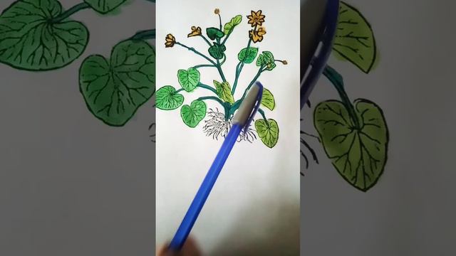 Лютики смотреть онлайн