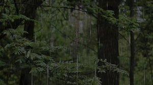 Звуки сильного грома. Атмосфера дождя для сна