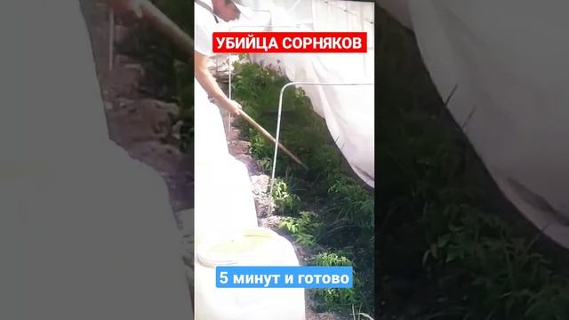 УБИЙЦА СОРНЯКОВ! 5 минут и сорняков нет! #сорняки #сорняк #огород #сад #дача