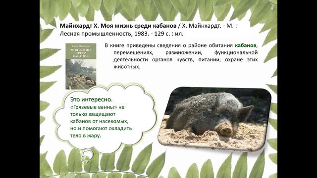 #ИменаИДаты 4 октября Всемирный день защиты животных