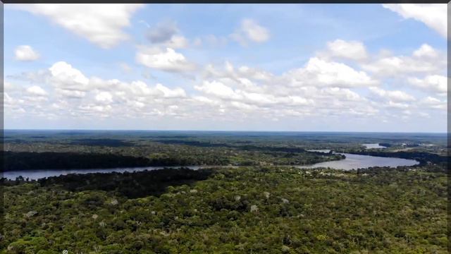 LA SELVA DE COLOMBIA, La selva de Colombia documental, LA SELVA AMAZONICA DE COLOMBIA смотреть онлайн