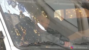 EDWARD BIL PRANK / БЕШЕНЫЙ ПАРКОВЩИК / ЛУЧШИЙ ПРАНК НАРЕЗКА