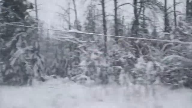 Красивая зимняя природа из окна поезда | Спите под стук колес поезда | 1 час | смотреть онлайн