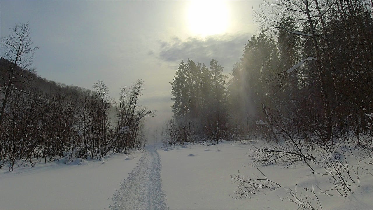 Современный отшельник в сказочном лесу. смотреть онлайн