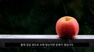 최고의 가성비 기능 갑 스마트 워치