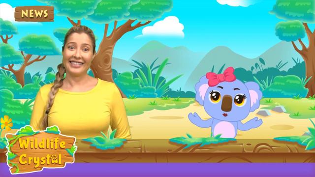 Penguin Facts смотреть онлайн