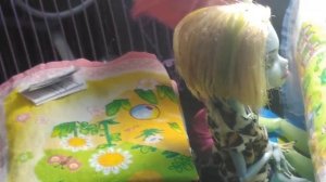 Монстр хай школа ?