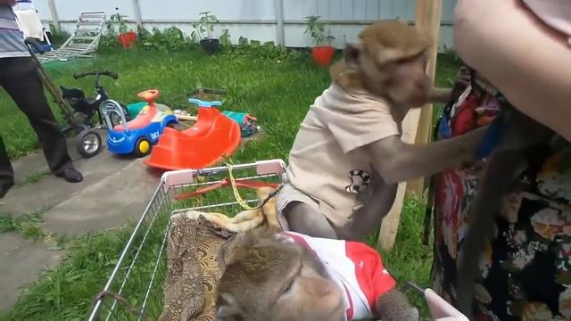 Маше 10 смотреть онлайн