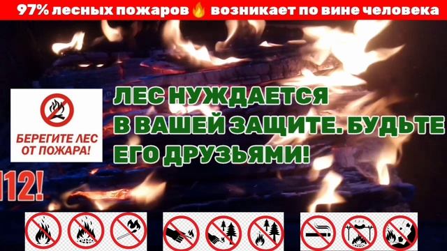 БЕРЕГИТЕ ЗАЙКИН ДОМ!
