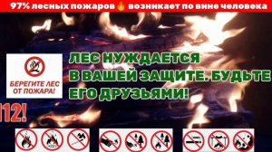 БЕРЕГИТЕ ЗАЙКИН ДОМ!
