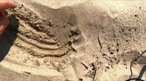 Пляжный поиск с металлоискателем, серебро на пляже