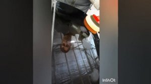 Полировальная паста 3М.