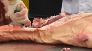 Обвальщики