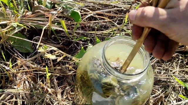 Сенокос 2022. люцерна. Грабли гвв 6 + юмз6 смотреть онлайн