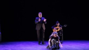 Спектакль ADN