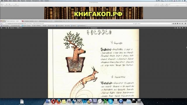 Кодекс Серафини - Тайный Шифр