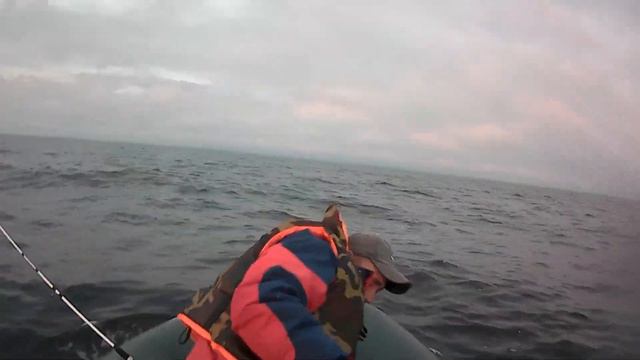 Свирица/троллинг 2023 смотреть онлайн