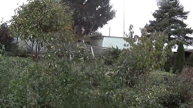 Холодные октябрьские дни Ударно поработала и сад к зиме готов смотреть онлайн