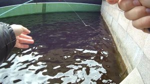 #22 Поплавок. Микроджиг.  Мормышинг.