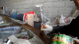 Каяк своими руками